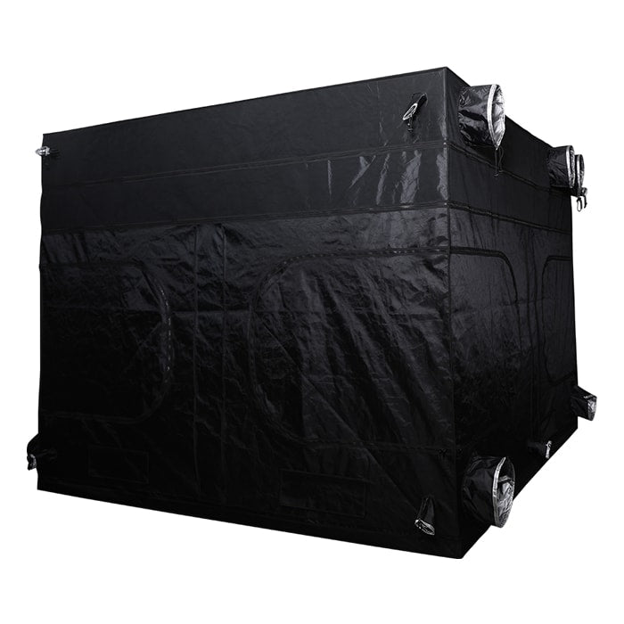 Goliath Grow Tent 10ft x 10ft x 6ft 11in - 7ft 11in
