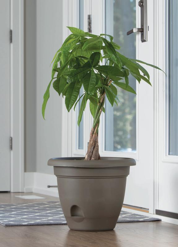 Bloem Lucca Self Watering Planter 14" (Chocolate)
