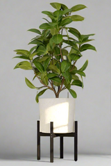 Vaxa Mid-Century Modern Self-Watering Planter